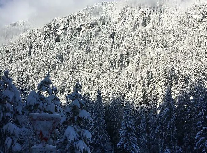 Art Appartement Chamonix